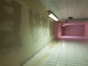 20170731_074443